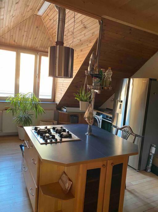 Rooftop 180M2 Loft With Private Sauna, Братислава Екстериор снимка